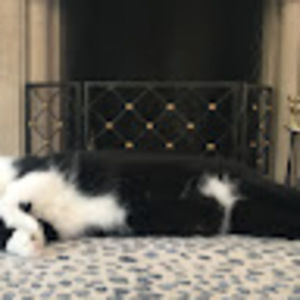 Meet your Posher, Zach